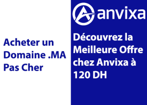 Acheter un Domaine Pas Cher : Découvrez la Meilleure Offre chez Anvixa à 120 DH